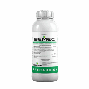 BEMEC