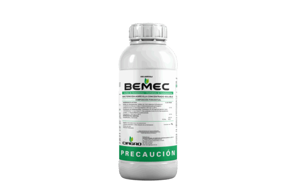 BEMEC